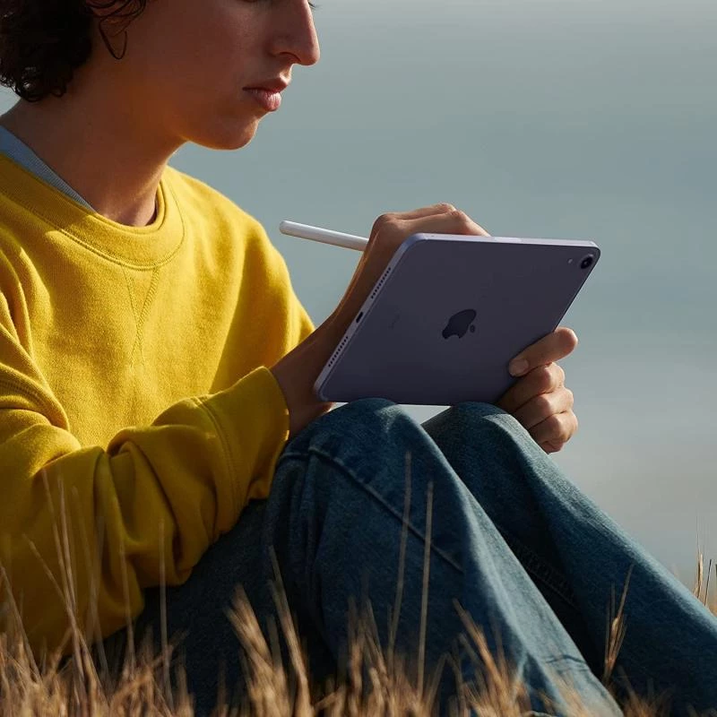Apple iPad mini 6 Generation (Wi-Fi + Cellular, 256GB) - Pink
